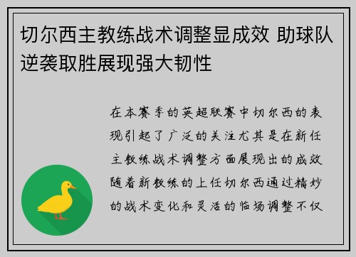 切尔西主教练战术调整显成效 助球队逆袭取胜展现强大韧性